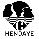 CARREFOUR HENDAYE